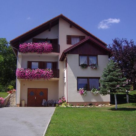 Guesthouse Hodak Seliste Dreznicko Exteriör bild